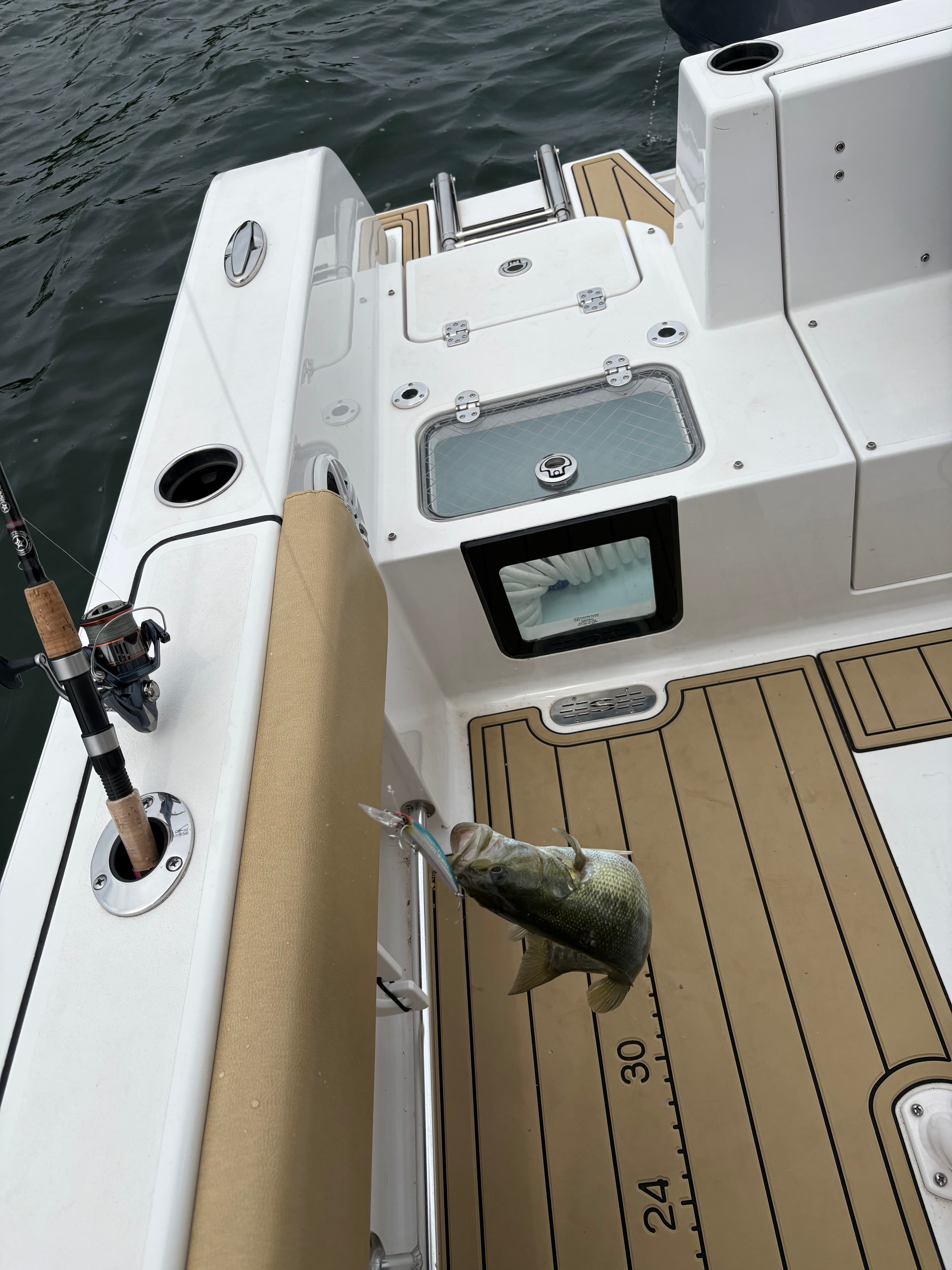 Largemouth bass caught on the Sportsman 231 deck