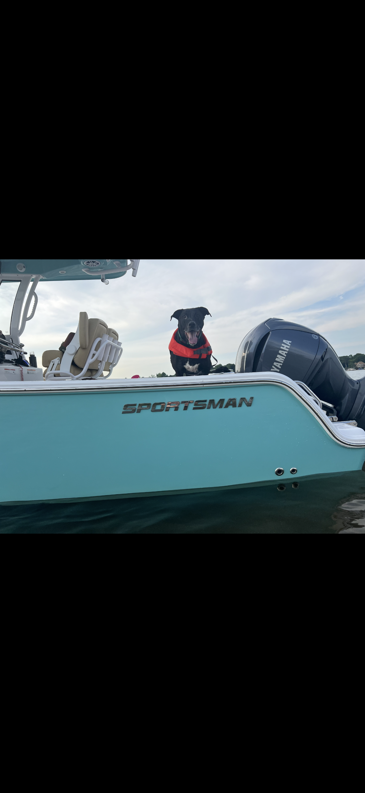 Dog aboard the Sportsman on Lake Norman